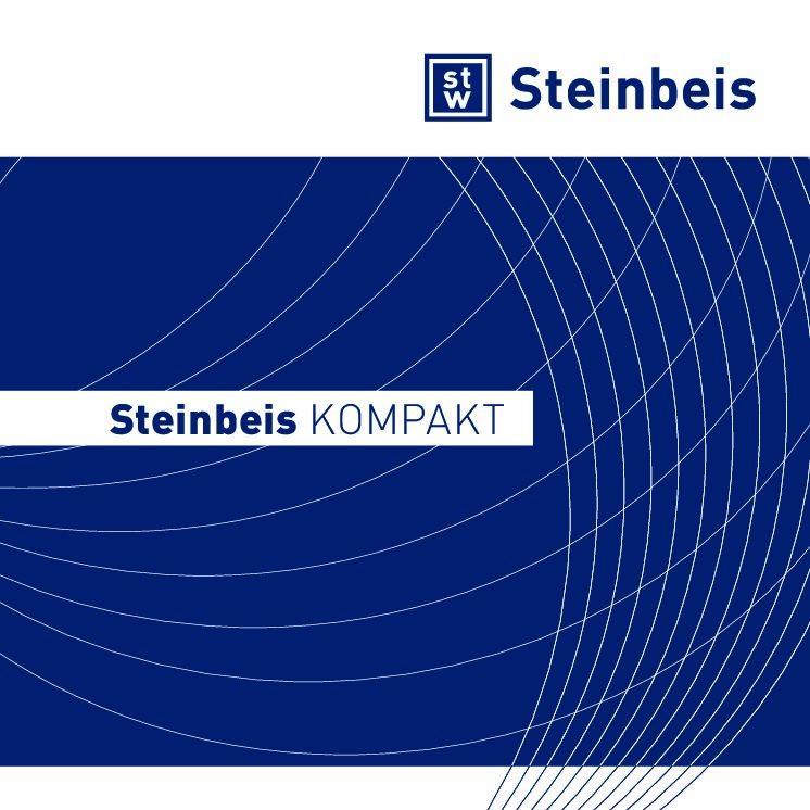 Steinbeis Kompakt, Steinbeis Technologieförderung, Steinbeis Technologietransfer